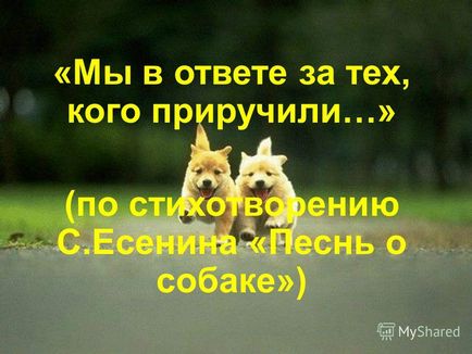 Презентація на тему ми відповідаємо за тих, кого приручили - (по віршу на - пісня про собаку -)