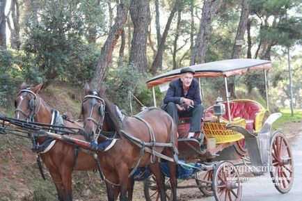 Прінцеви острова стамбул відпочиває (як дістатися, фото) статті