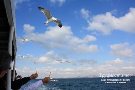 Insulele Insulelor Istanbul se odihnesc (cum să obțineți, fotografiați) articolul