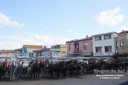 Прінцеви острова стамбул відпочиває (як дістатися, фото) статті