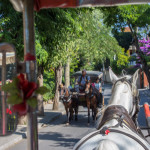 Прінцеви острова в Стамбулі як дістатися і добре відпочити