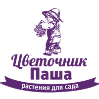 Продаж саджанців рослин квіти, плодово-ягідні, декоративно-листяні, півонії, хвойні -