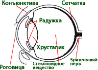 Atrofia retinei progresive (trecere)