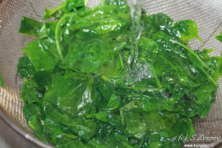 Reteta pentru snacks-uri de la fuzsozy si fuzhu de sparanghel de soia (bucataria chineza)