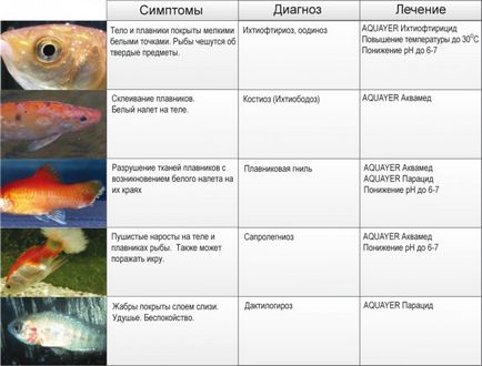 Риба для ставка особливості вирощування риби в ставку