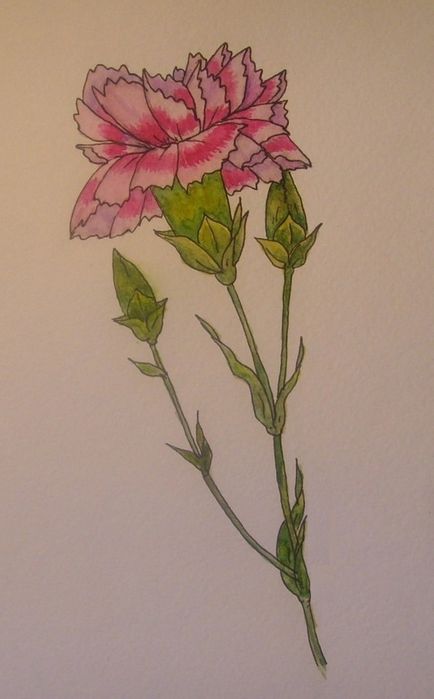 Малюємо поетапно краще - малюємо поетапно квіти і природу