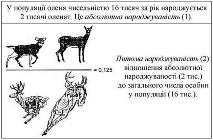 Fertilitatea - caracteristicile ecologice și biologice ale populației - fundamentele ecologiei populației