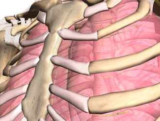 Astmul cardiac risc de dezvoltare, cauze, simptome și diagnostic