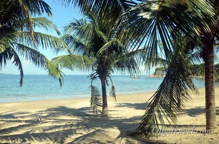 Észak Nha Trang strand, az infrastruktúra felülvizsgálat (u plaza Trang) Észak Nha Trang strand, az infrastruktúra, áttekintés