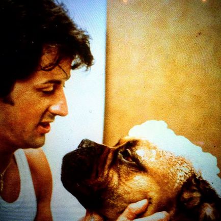 Sylvester Stallone a spus o poveste despre câinele său în rețeaua socială, dându-i astfel un omagiu