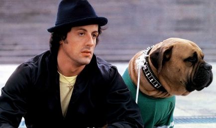 Sylvester Stallone și-a vândut câinele preferat când nu avea nimic de mâncat ... oh, asta a fost următorul!