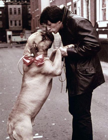 Sylvester Stallone elmondta a történetet az ő kutyája