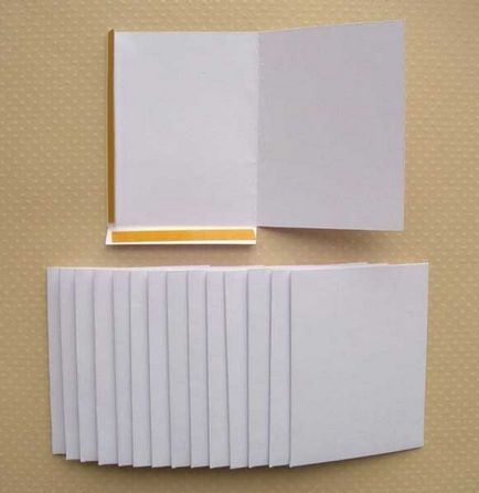 Scrapbooking caseta (folder) pentru discuri