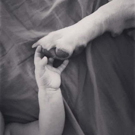 A kutya beleszeretett a baba előtt találkoztam vele! (Dzhipeg szaga erősen) A kutya beleszeretett a baba előtt találkoztam vele!