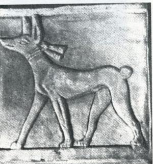 Câini din Egiptul antic