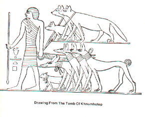 Собаки стародавнього Єгипту