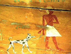 Câini de vânători antice Egipt, animale de companie, războinici