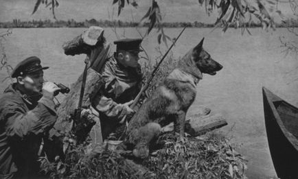 Собаки - герої великої вітчизняної війни