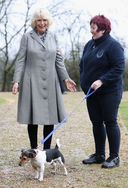 Kutyák Duchess Camilla rendeztek káosz a menedéket a hajléktalan állatok, hello! Oroszország