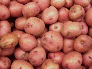 Soiuri de cartofi - totul despre cartofi
