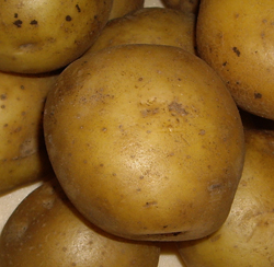Soiuri de cartofi - totul despre cartofi