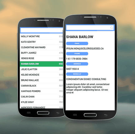 Crearea unei aplicații mobile cu phonegap și webix (crearea) Crearea unei aplicații mobile cu phonegap și webix