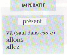 Conjugarea limbajului de verb alergie, franceză, online