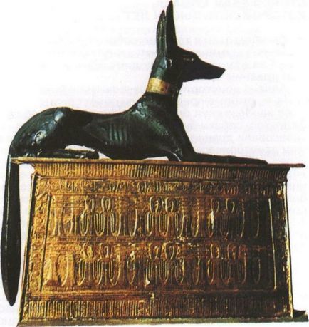 Священні тварини стародавнього Єгипту опис з фото, кішки, крокодили, ібіс і ін