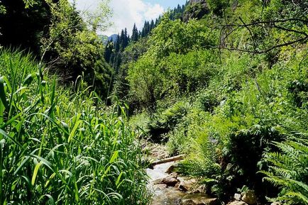 Defileul Talgar este o declivitate monahală, călătorind, trekking, trekking