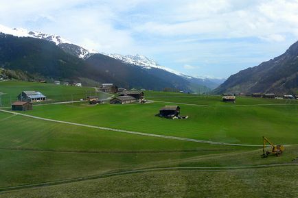 Tigrarim, Elveția
