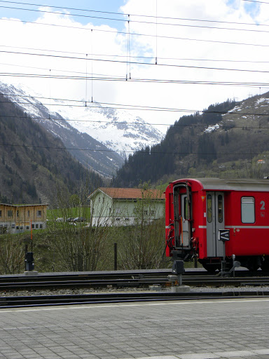 Tigrarim, швейцарія