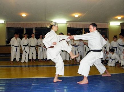 Instruire karate kekushinkai