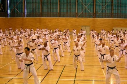 Instruire karate kekushinkai