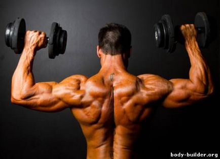 Тренування плечей, кращі вправи на плечі