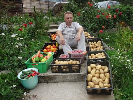 Uimitoare paturi de recoltare a unei lagune de jocuri de noroc