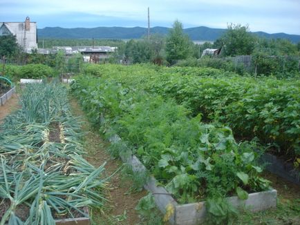 Uimitoare paturi de recoltare a unei lagune de jocuri de noroc