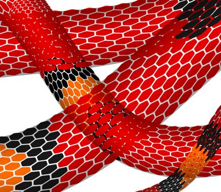 Bemutató Adobe Illustrator - hogyan lehet létrehozni egy vektor kígyó segítségével mesh kínzó - rboom (kígyó) Bemutató Adobe Illustrator - hogyan lehet létrehozni egy vektor kígyó segítségével mesh kínzó - rboom