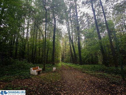 Voronovo Manor în districtul Podolsky din spatele gardului legendarului sanatoriu