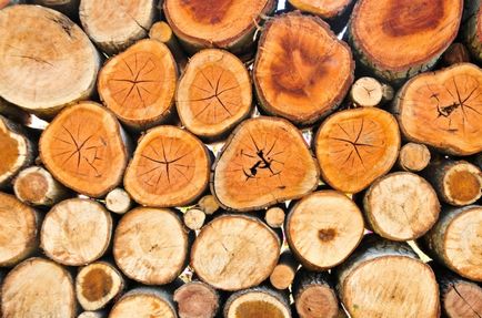 Alegerea lemnei de foc pentru baie