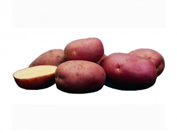 Вибираємо сорт картоплі в Україні