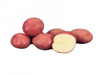 Вибираємо сорт картоплі в Україні