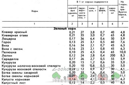 Вирощувати свиней домашніх умовах чим годувати - зміст і годування поросят в домашніх умовах