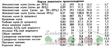 Creșteți porcii la domiciliu decât hrănirea și hrănirea purceilor acasă