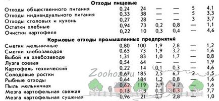 Creșteți porcii la domiciliu decât hrănirea și hrănirea purceilor acasă