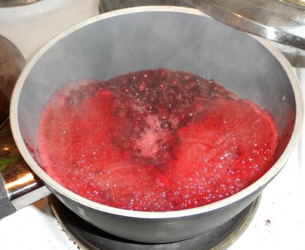 Delicioase lingonberry jeleu - cum se face gelatina din gelatină, pas cu pas rețetă cu o fotografie