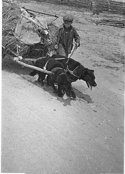 Fotografii militare