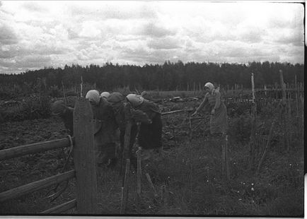 військові фотографії