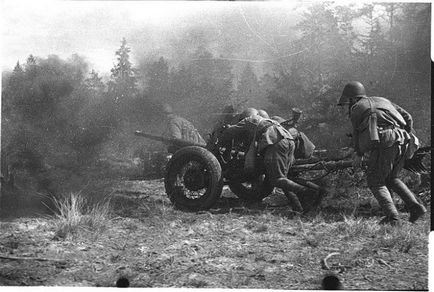 військові фотографії