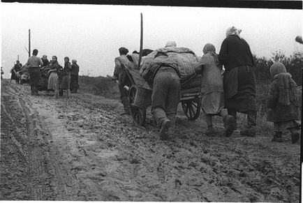 військові фотографії