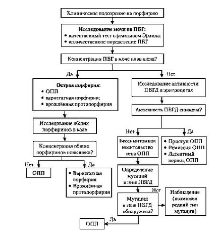 Összefüggő betegségek károsodott hem és porfirin metabolizmus